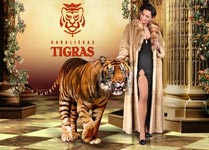 Flash animacija Tigras