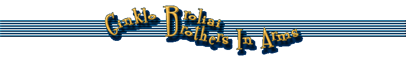 Logo Ginklo broliai - Brothers In Arms