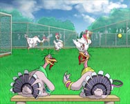 Arvi kalakutai. Tenisas. Animacin reklama