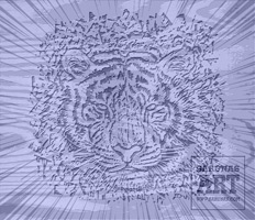 Linksmu svenciu! - Happy Holidays!